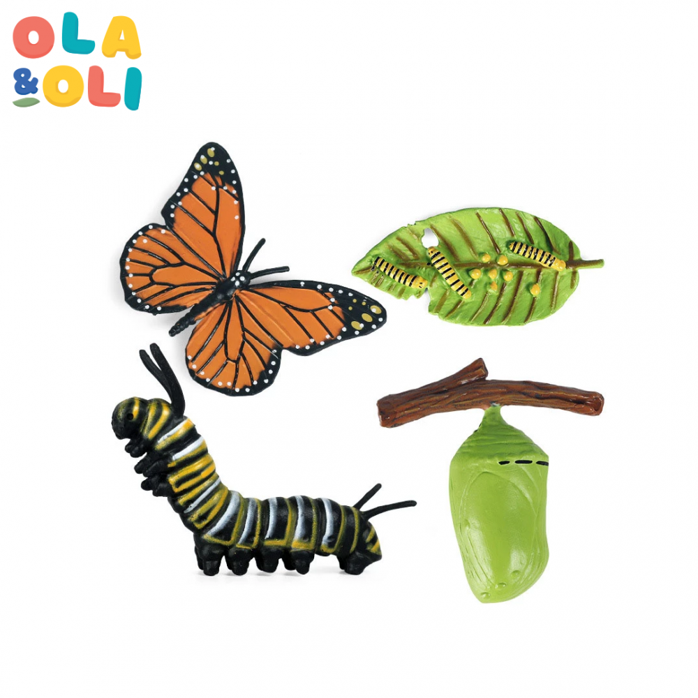 Mini Life Cycle Real Set (Butterfly)