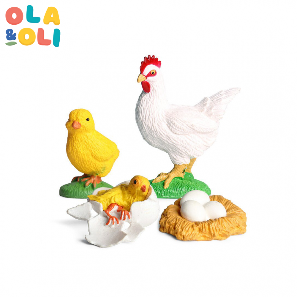 Mini Life Cycle Real Set (Chicken)