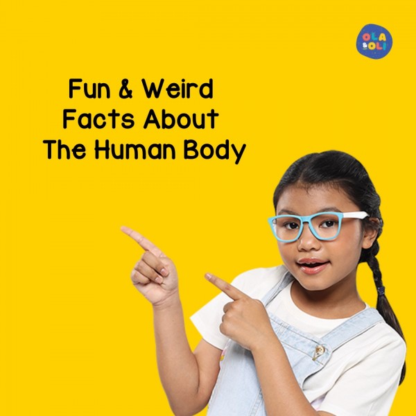 Fun and Weird Facts About The Human Body 